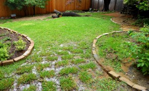 3 flowerbeds_after rain
